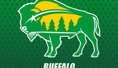 Sabres Stolen Identities 2025/26: Game 25 - Minnesota Wild