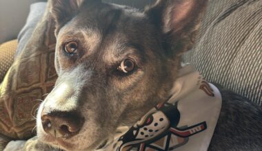 Lilly says “Yo ITS GAME DAY, did you know?!?”