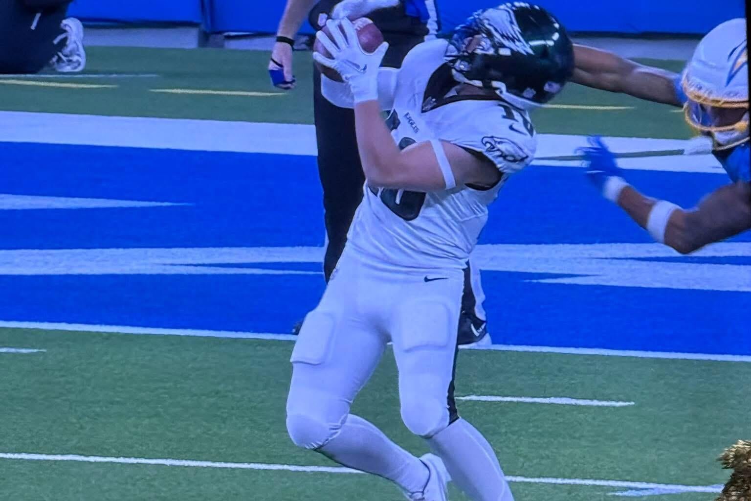 How did the ref standing there looking at it miss this?