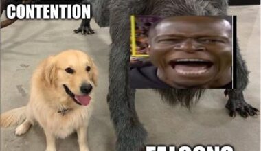 Last ten years in a nutshell