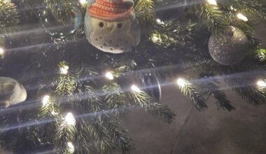 He's Been Downgraded. He Doesn't Even Deserve the Lowest Tier of the Tree