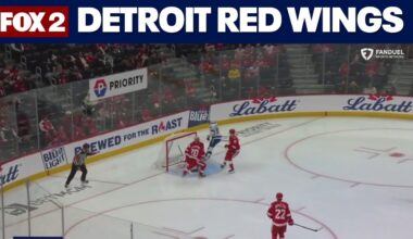 Red Wings winless in 4 straight, what's wrong with the team?