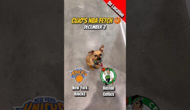 Cujo’s NBA Fetch | New York Knicks vs Boston Celtics 🐕 12-02-2025 NBA Basketball