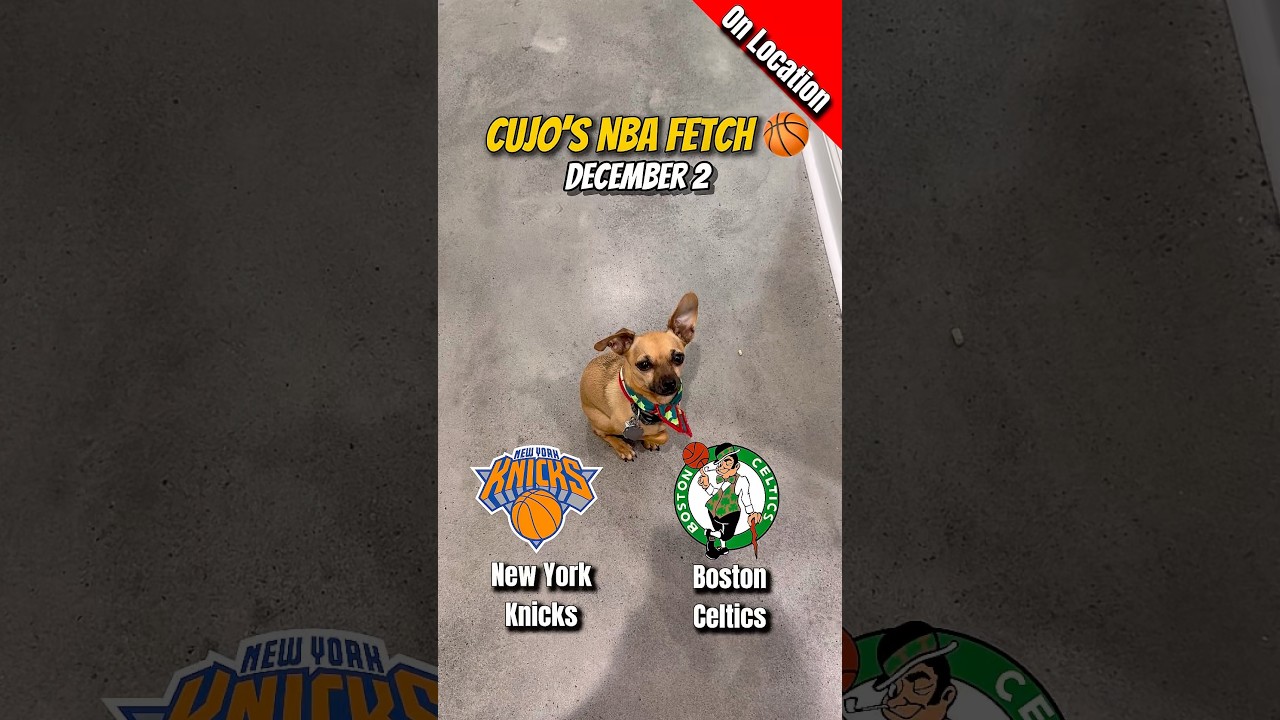 Cujo’s NBA Fetch | New York Knicks vs Boston Celtics 🐕 12-02-2025 NBA Basketball
