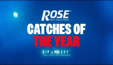 Detroit Tigers Top 10 Catches of the 2025 Season