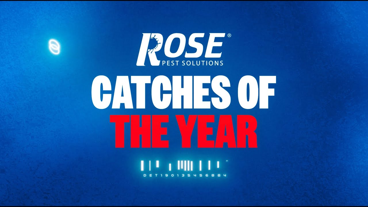 Detroit Tigers Top 10 Catches of the 2025 Season