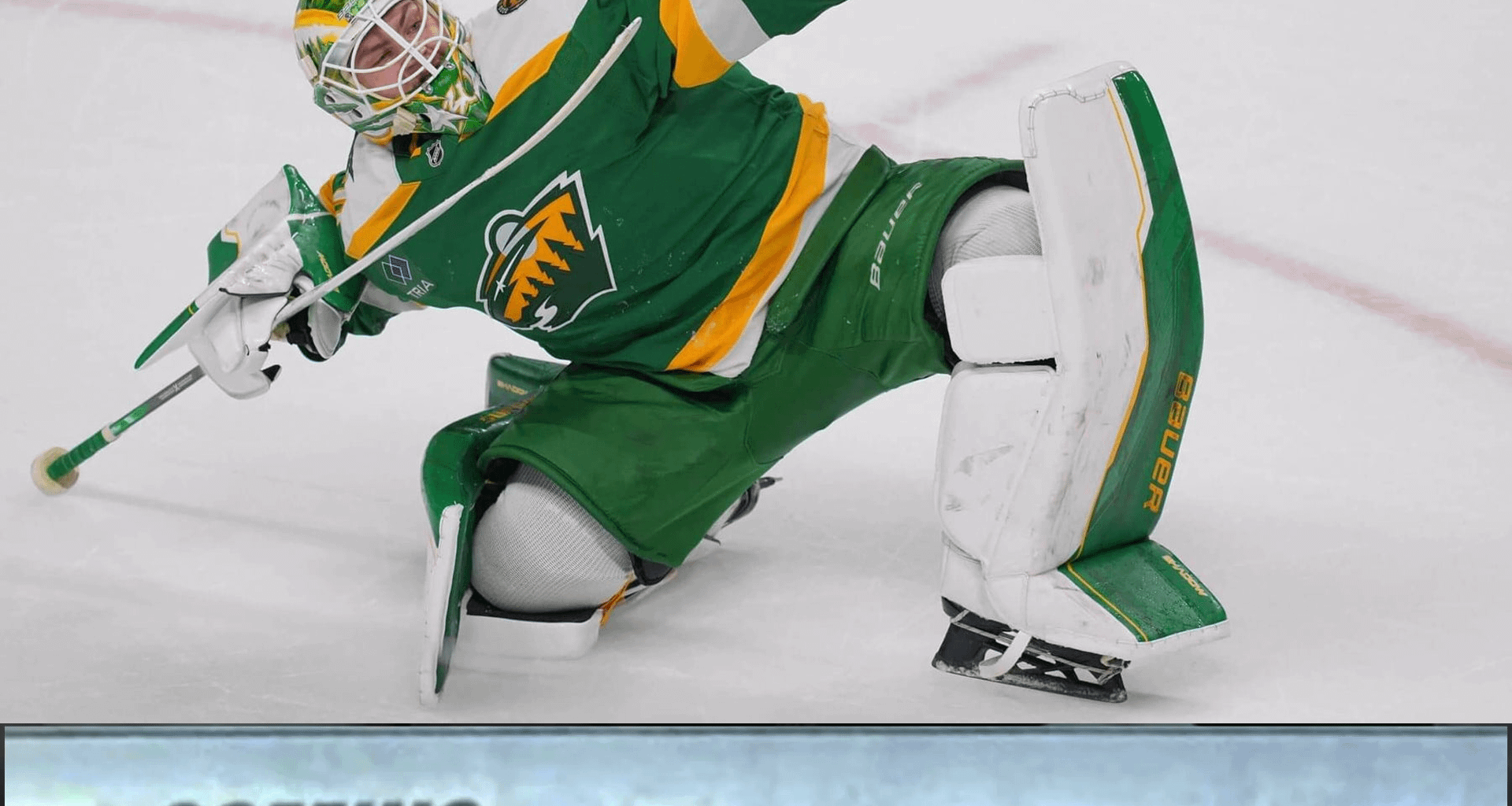 THE SWEDISH MEATWALL