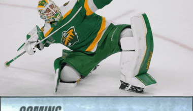 THE SWEDISH MEATWALL