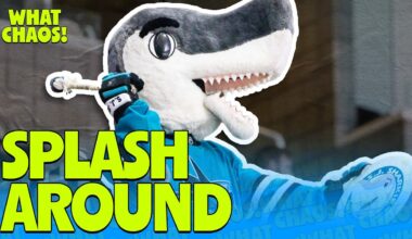 The San Jose Sharks are so silly