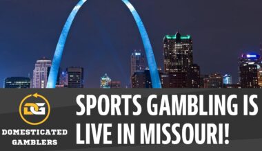 Legal Sports Gambling Is HERE + Blues & NFL Week 14 Picks | Domesticated Gamblers