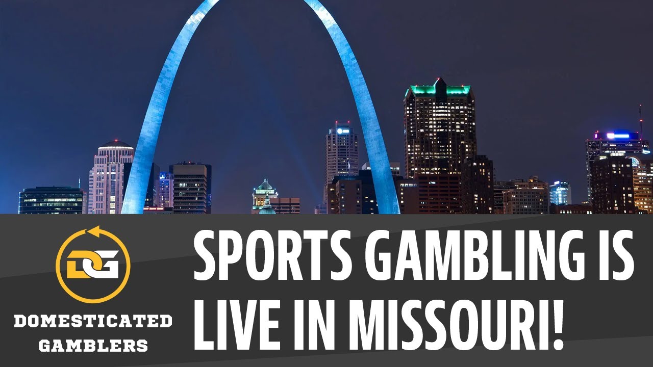Legal Sports Gambling Is HERE + Blues & NFL Week 14 Picks | Domesticated Gamblers