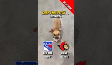 Cujo’s NHL Fetch | New York Rangers vs Ottawa Senators 🐕 12-04-2025 NHL Hockey