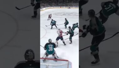 Goalie Interference?