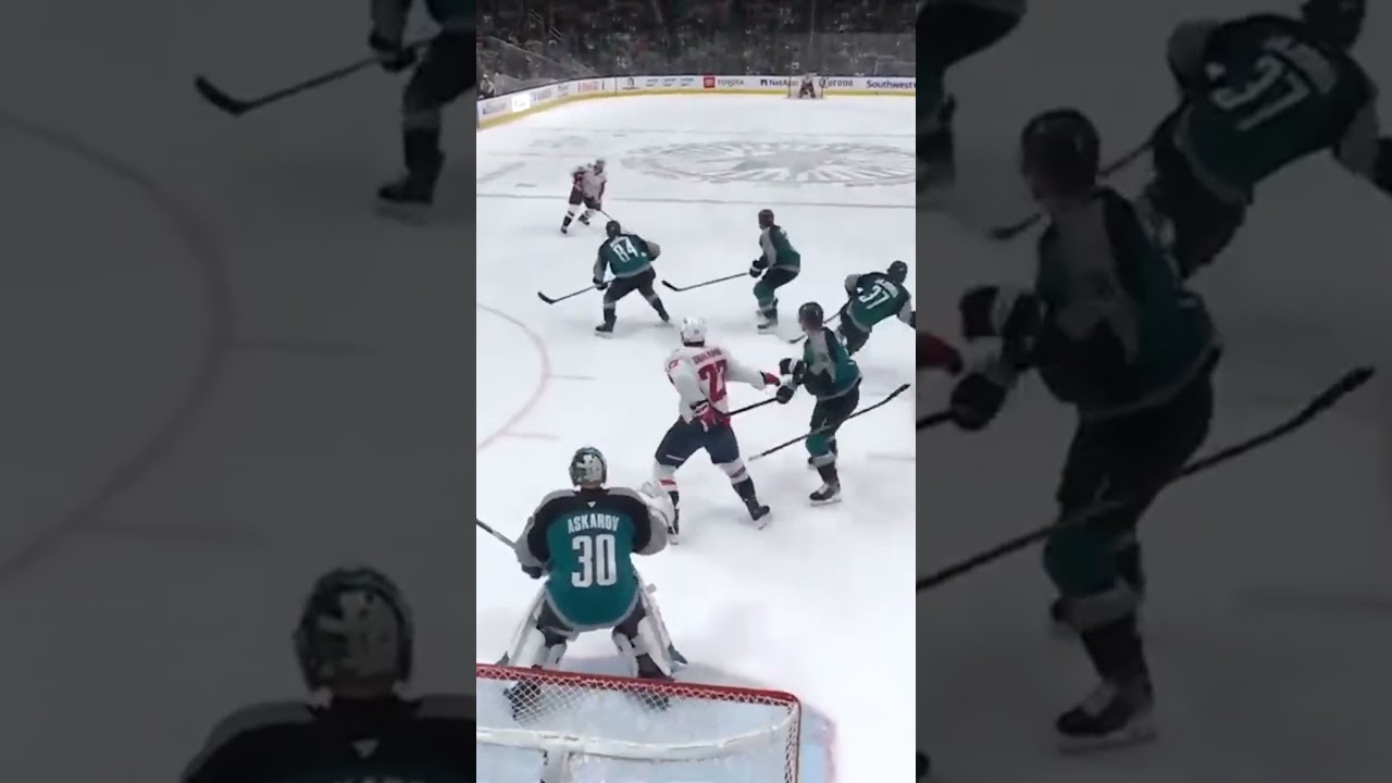 Goalie Interference?