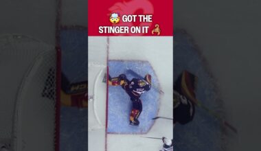 From Wolf to SCORPION 🦂😱