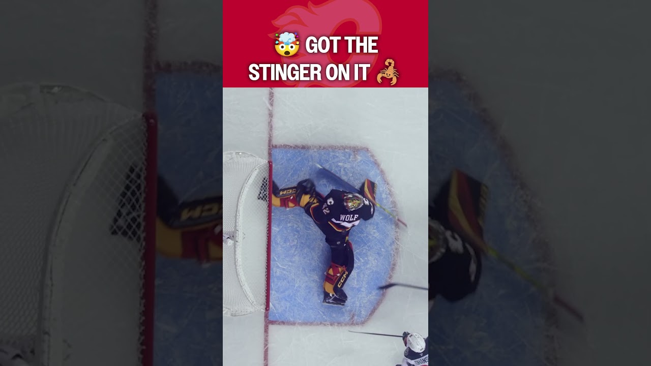 From Wolf to SCORPION 🦂😱