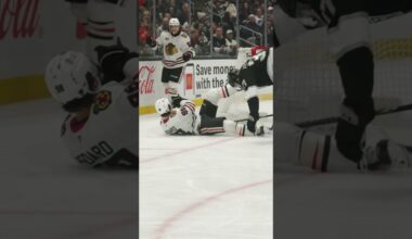 Bertuzzi 👉 Bedard 🚨