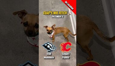 Cujo’s NHL Fetch | Utah Mammoth vs Calgary Flames 🐕 12-06-2025 NHL Hockey