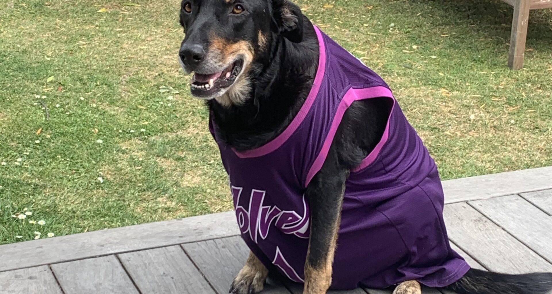 Check out my Timberwolf