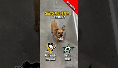 Cujo’s NHL Fetch | Pittsburgh Penguins vs Dallas Stars 🐕 12-07-2025 NHL Hockey