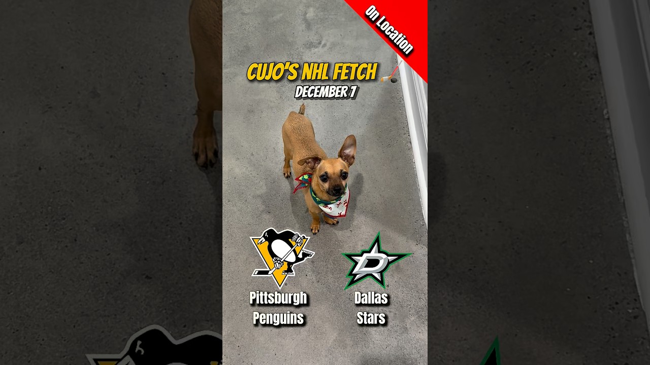 Cujo’s NHL Fetch | Pittsburgh Penguins vs Dallas Stars 🐕 12-07-2025 NHL Hockey