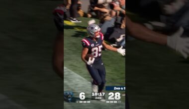 Gone Hunting 😎 #patriots #nfl #shorts