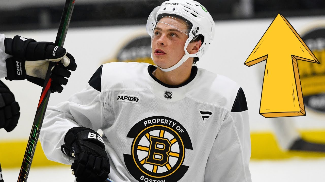 Boston Bruins Pipeline Breakdown: Updated Prospect Rankings!