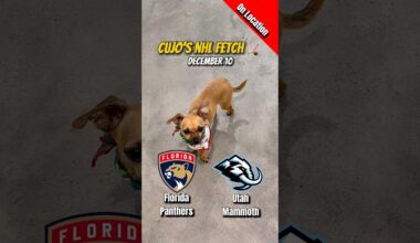 Cujo’s NHL Fetch | Florida Panthers vs Utah Mammoth 🐕 12-10-2025 NHL Hockey