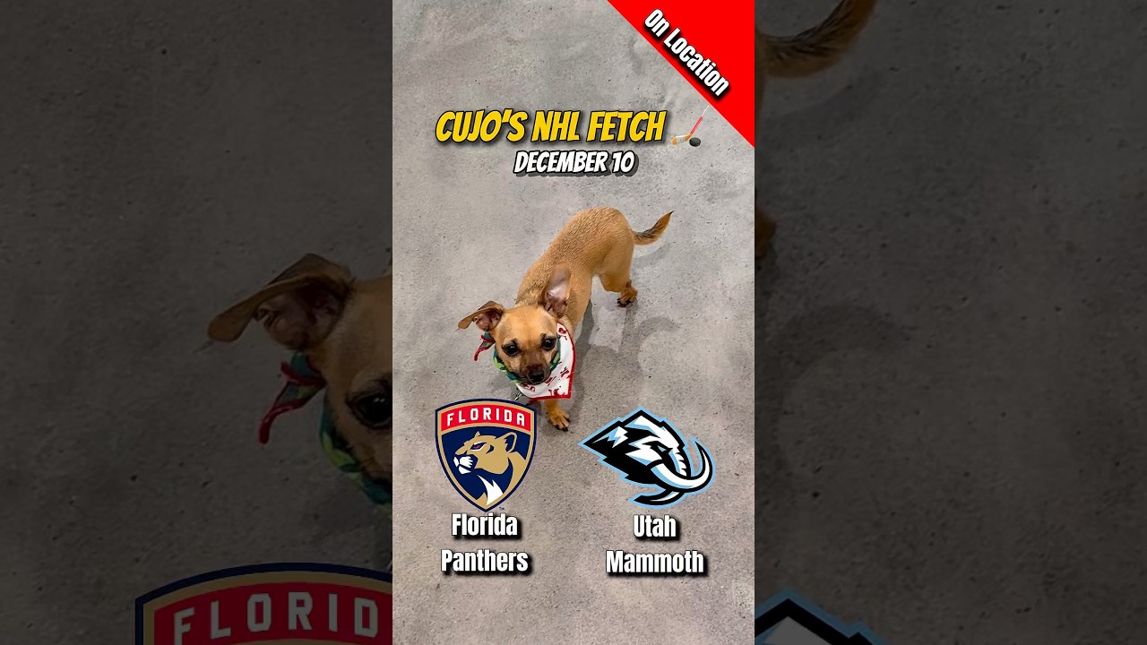 Cujo’s NHL Fetch | Florida Panthers vs Utah Mammoth 🐕 12-10-2025 NHL Hockey