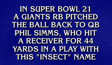 Saw this, thought of you.