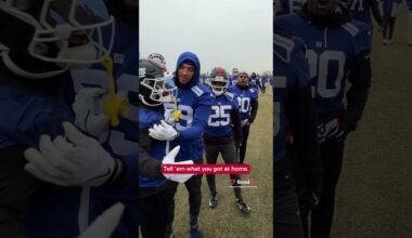 What kind of dog would you be? 🐶 #shorts #nfl #Giants #nygiants #newyorkgiants