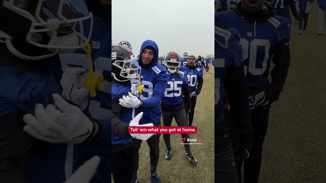 What kind of dog would you be? 🐶 #shorts #nfl #Giants #nygiants #newyorkgiants