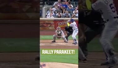 need a rally parakeet for my favorite team in 2026 🤣