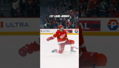 Alex DeBrincat nets the game-winning goal vs. the Islanders