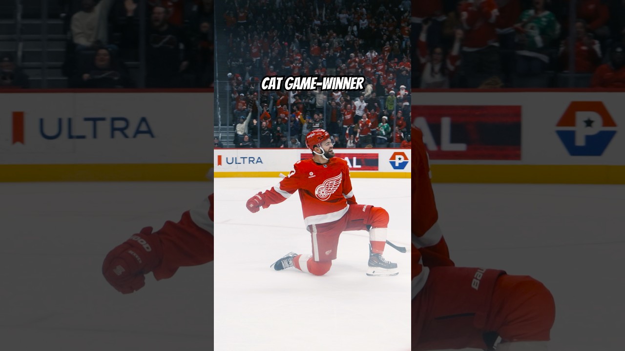 Alex DeBrincat nets the game-winning goal vs. the Islanders