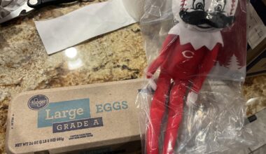 You’ve heard of Elf on the Shelf…