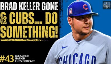 Cubs Offseason Check-In & What Comes Next | Bleacher Nation Cubs