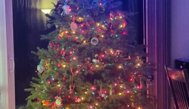 Merry Christmas, Go Bills!