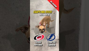 Cujo’s NHL Fetch | Hurricanes vs Lightning 🐕 12-20-2025 NHL Hockey