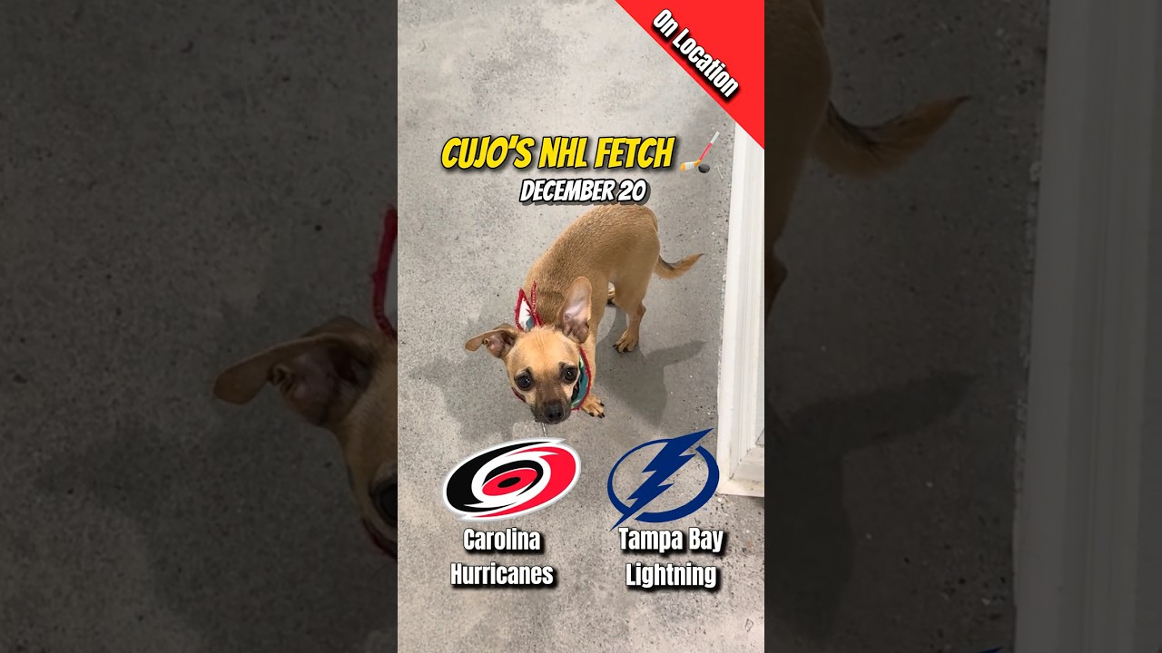 Cujo’s NHL Fetch | Hurricanes vs Lightning 🐕 12-20-2025 NHL Hockey
