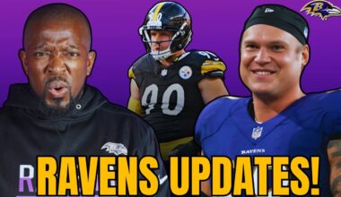 LATEST UPDATES ON THE BALTIMORE RAVENS BEFORE GAMEDAY!