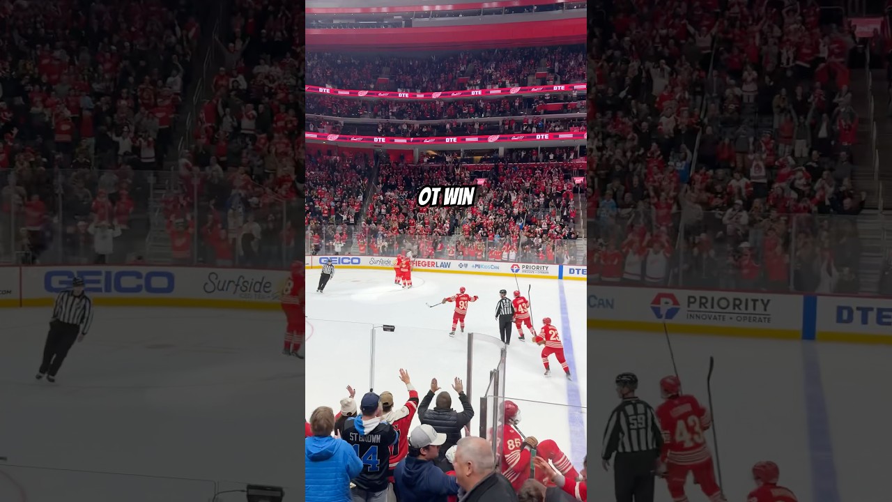 Mo Seider nets OT game-winner vs. the Capitals at Little Caesars Arena