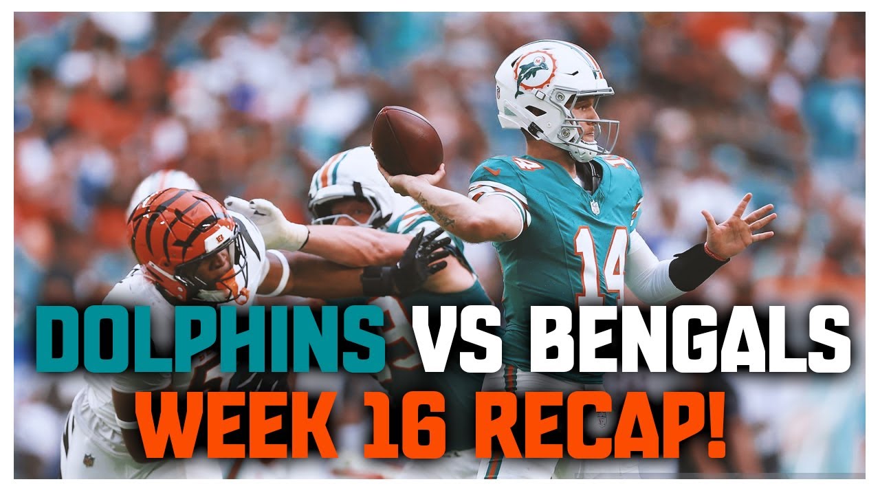 Cincinnati Bengals Vs Miami Dolphins Week 16 Recap!