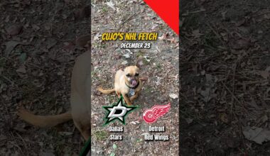Cujo’s NHL Fetch | Dallas Stars vs Detroit Red Wings 🐕 12-23-2025 NHL Hockey