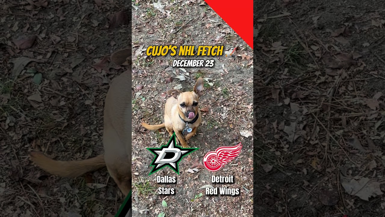 Cujo’s NHL Fetch | Dallas Stars vs Detroit Red Wings 🐕 12-23-2025 NHL Hockey