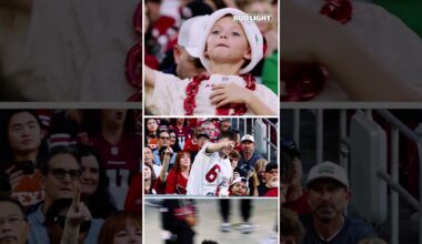 For the #birdgang, always 🫶