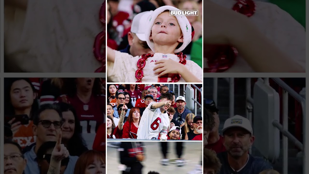 For the #birdgang, always 🫶