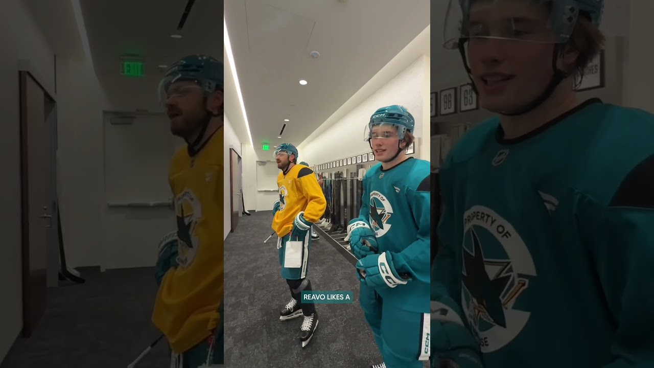 Happy Holidays 🎁 ☺️ #hockey #nhl #sharks