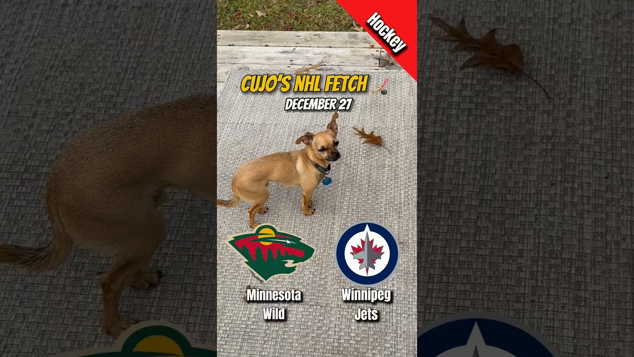 Cujo’s NHL Fetch | Minnesota Wild vs Winnipeg Jets 🐕 12-27-2025 NHL Hockey