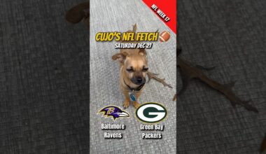 Cujo’s NFL Fetch | Baltimore Ravens vs Green Bay Packers 🐕 12-27-2025 NFL Football